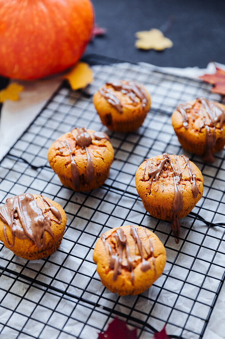 Kürbismuffins mit Schokoglasur