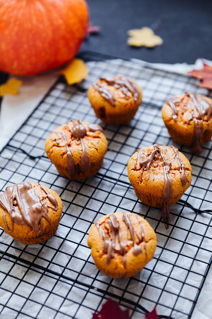 Pumpkin muffins with chocolate icing