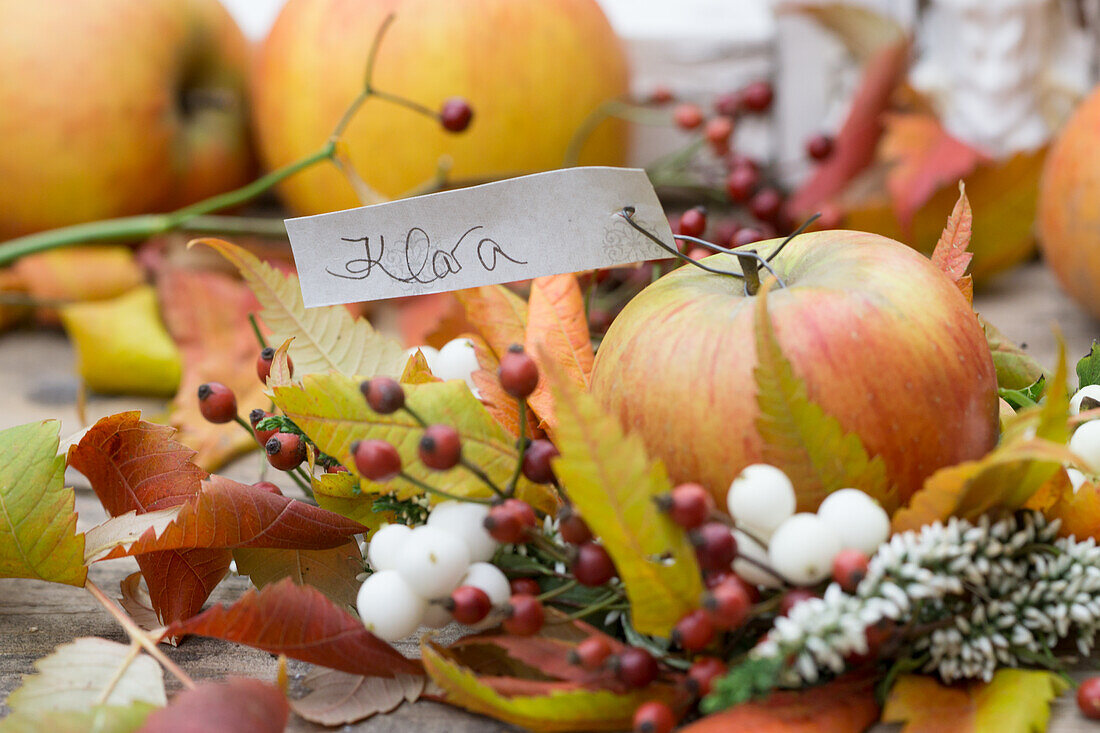 Kleiner Kranz aus Hagebutten, Schneebeeren, Essigbaumlaub und Heidekraut, mit Apfel und Namensschildchen