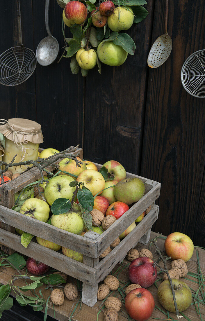 Holzkiste mit Quitten, Äpfeln und Walnüssen vor Holzwand