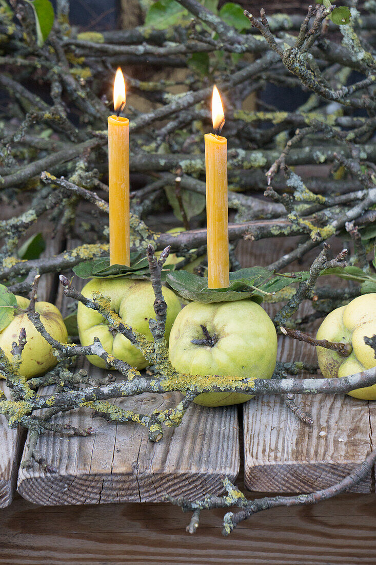 Quinces as candle holders, with beeswax candles and branches from old apple trees