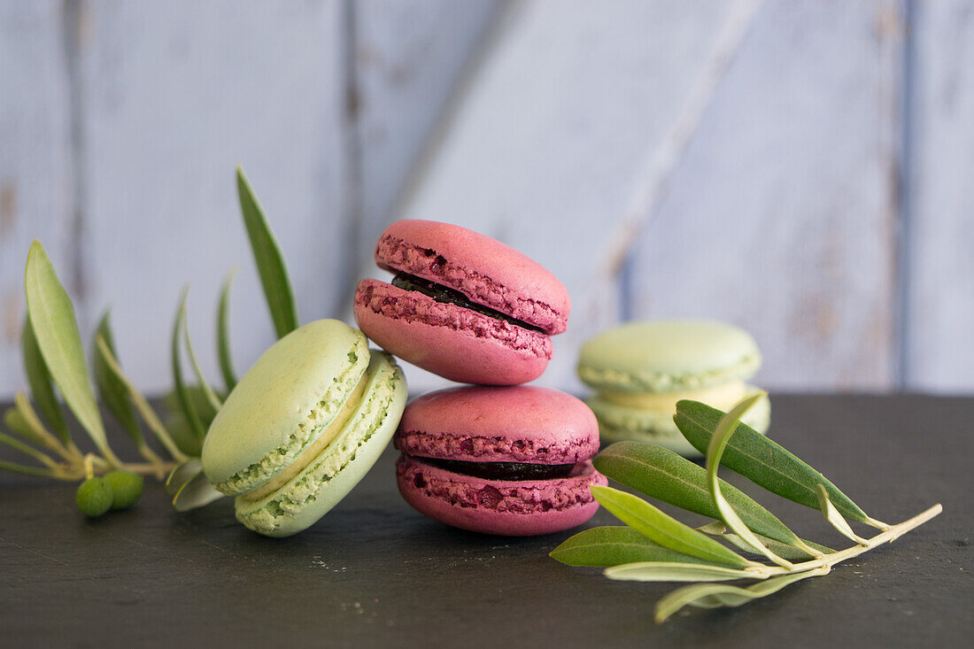 Pistachio and black currant macarons with olive branches