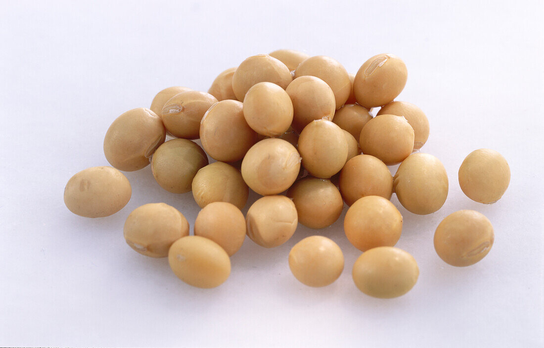 A pile of soybeans on a light background