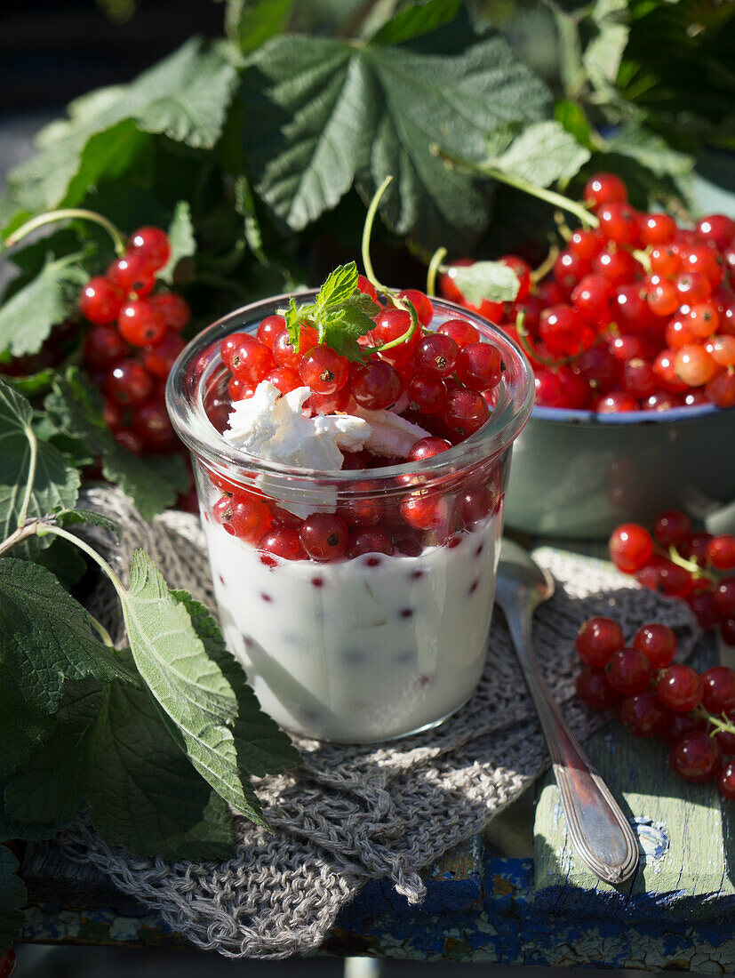 Natural yogurt with honey and red currants in a jar