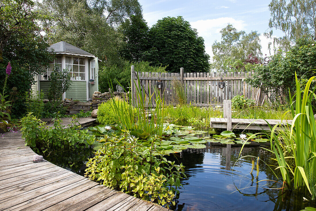 Gartenteich mit Wasserpflanzen und Holzsteg