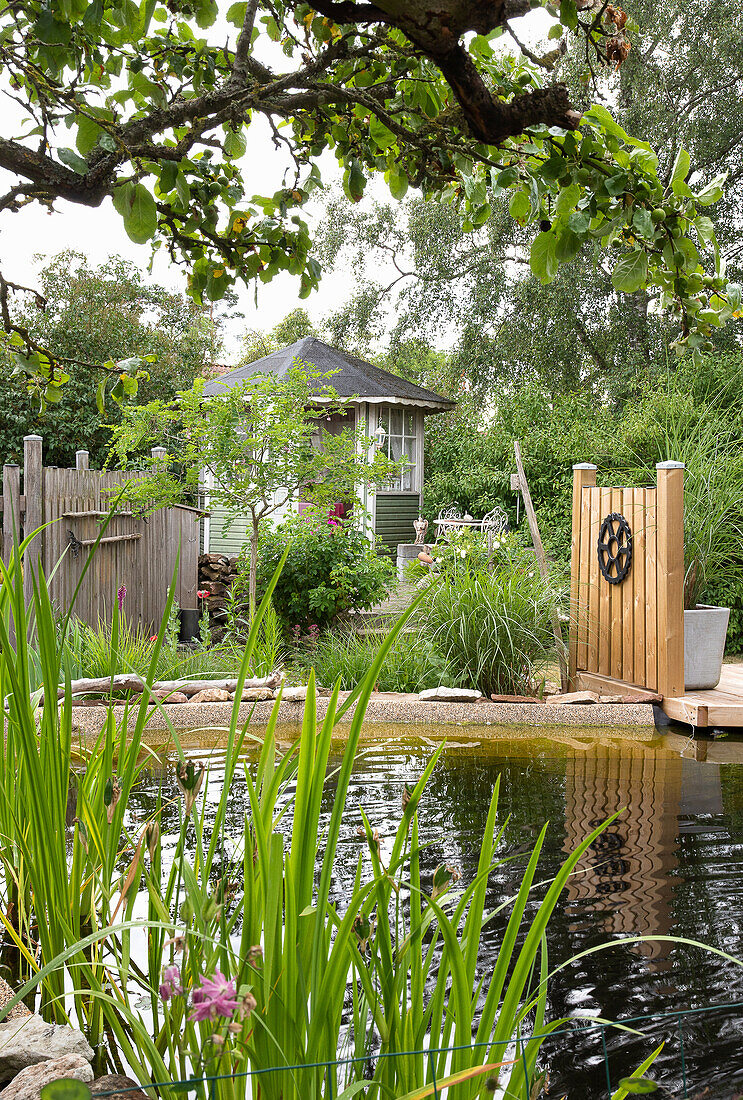 Garden pond and old, gnarled fruit tree