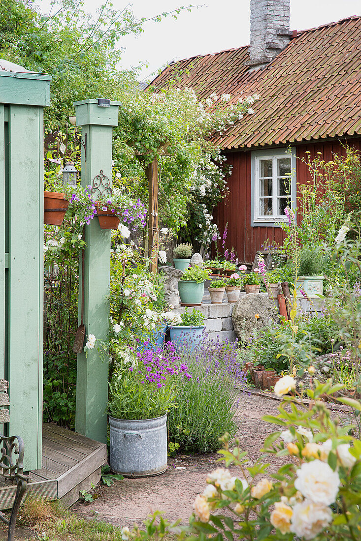 Gartenweg umgeben von Pflanzentöpfen