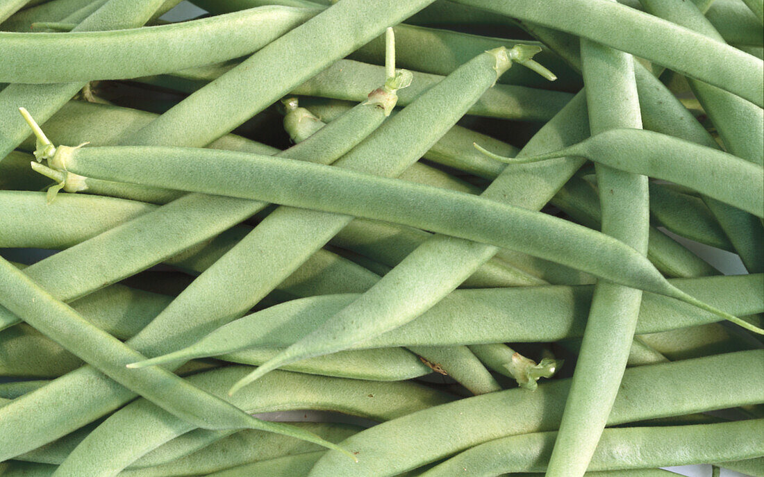 Bush beans (full picture)