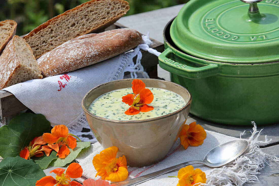 Kapuzinerkressesuppe zur Blutreinigung und Entgiftung