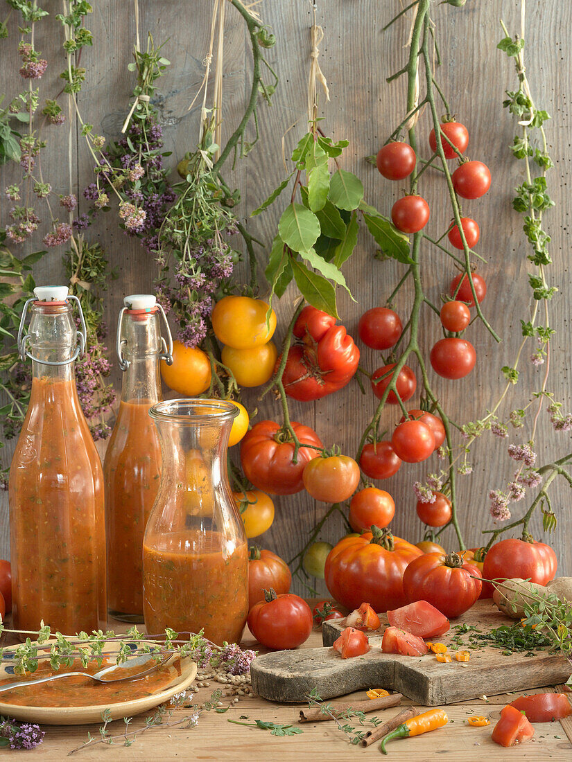 Tomatensauce mit Kräutern in Flaschen, umgeben von Tomaten und Kräutern