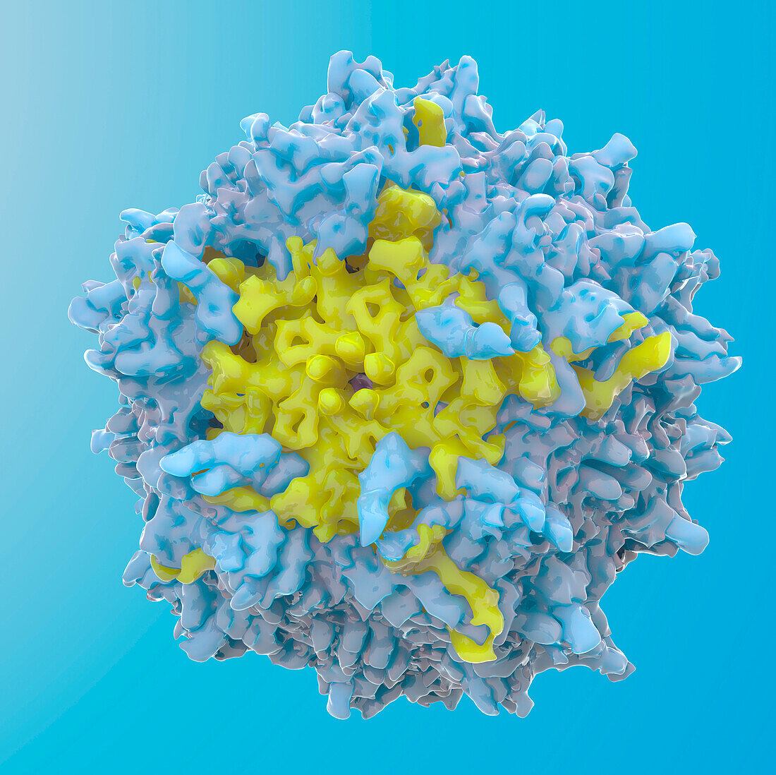Adeno-associated virus 9, illustration