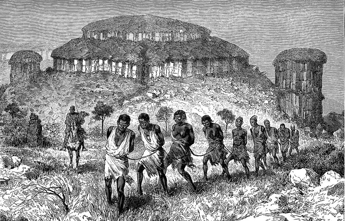 Slave caravan, 19th century illustration