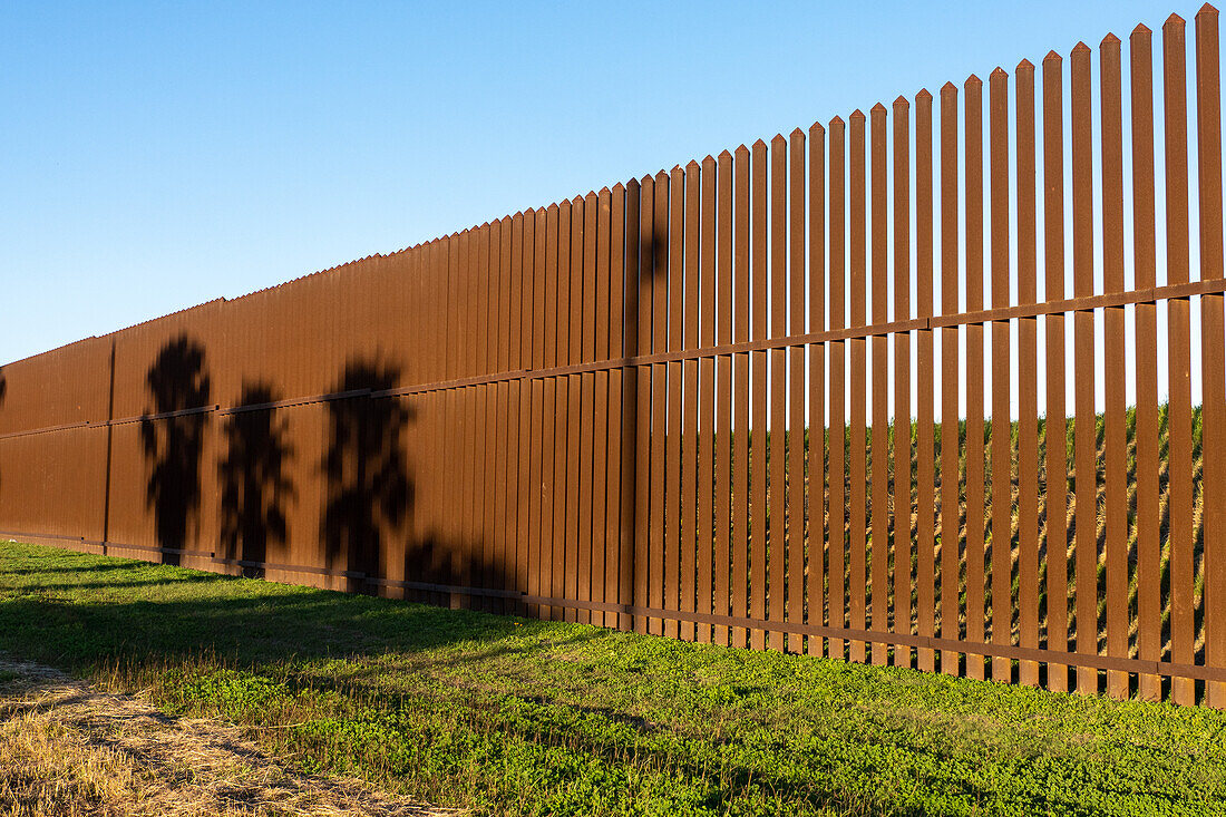 Shadows of palm trees on the USA-Mexico border wall
