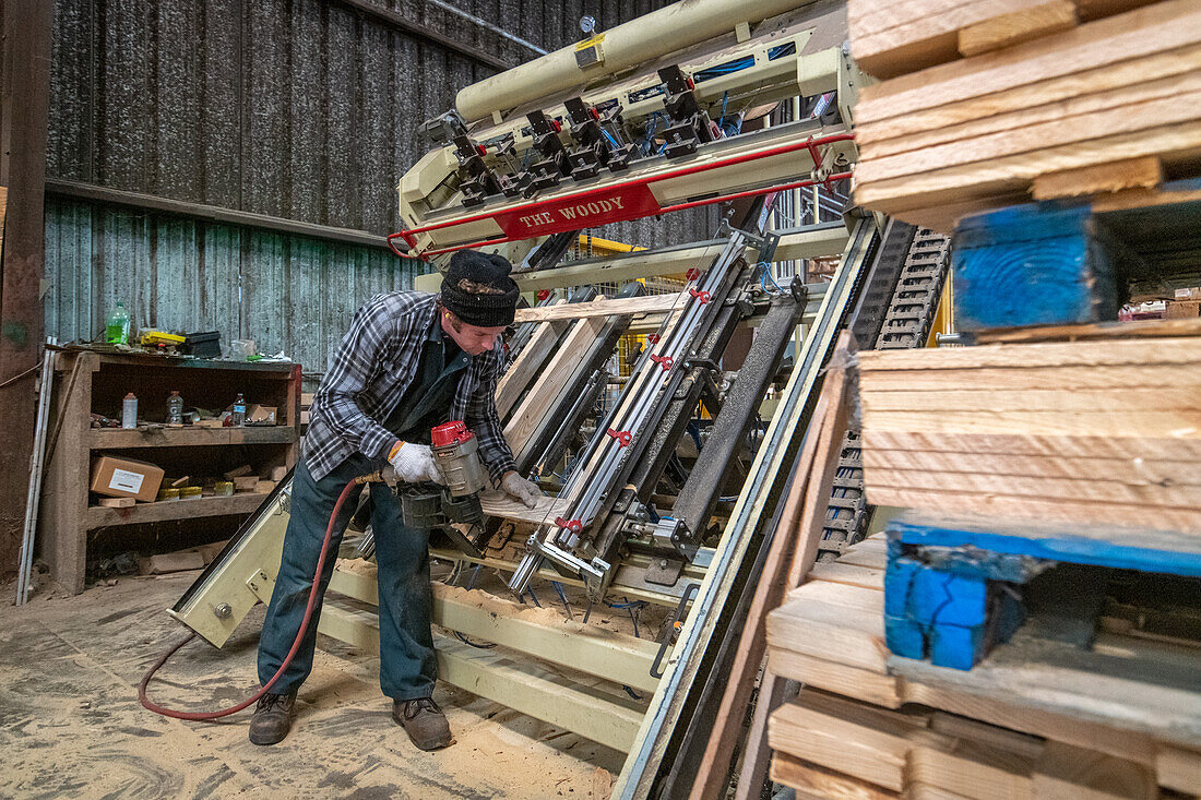 Worker in warehouse assembling wooden pallets together