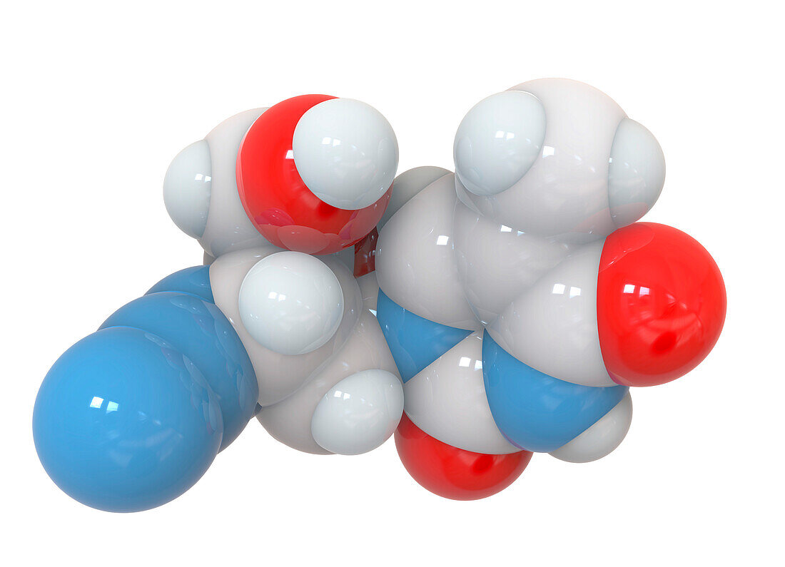 Azidothymidine HIV drug, molecular model