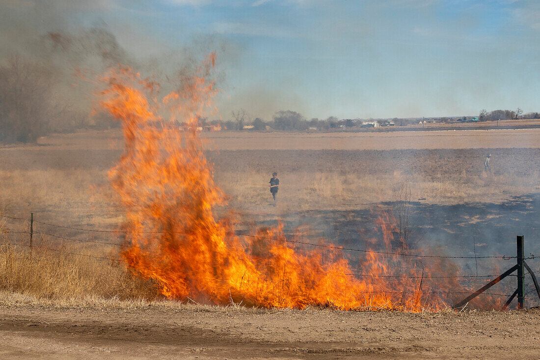 Farmer burning his field