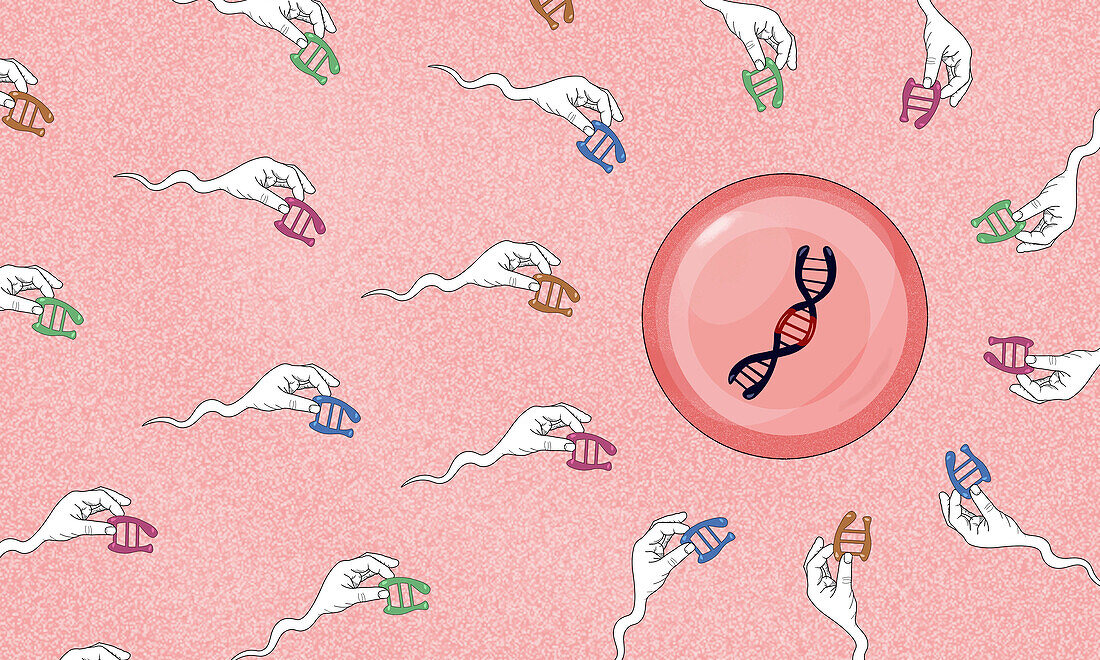 CRISPR gene editing, conceptual illustration