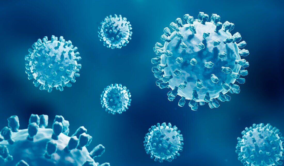 Hepatitis B viruses, illustration