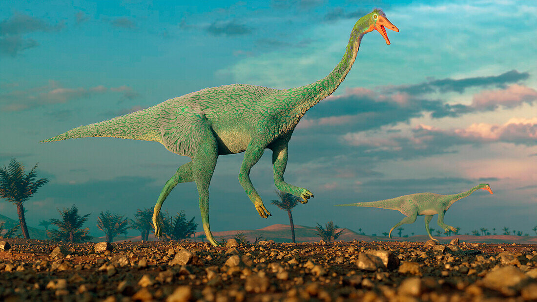 Artwork of dinosaur Gallimimus