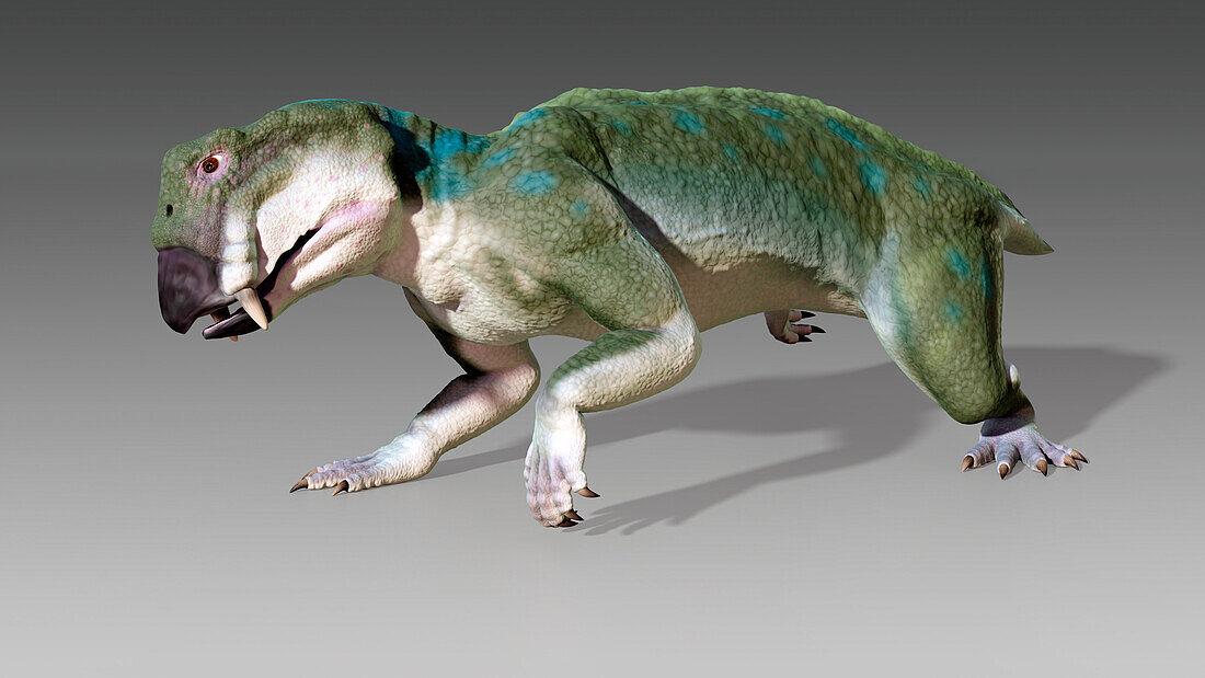 Artwork of extinct animal Lystrosaurus