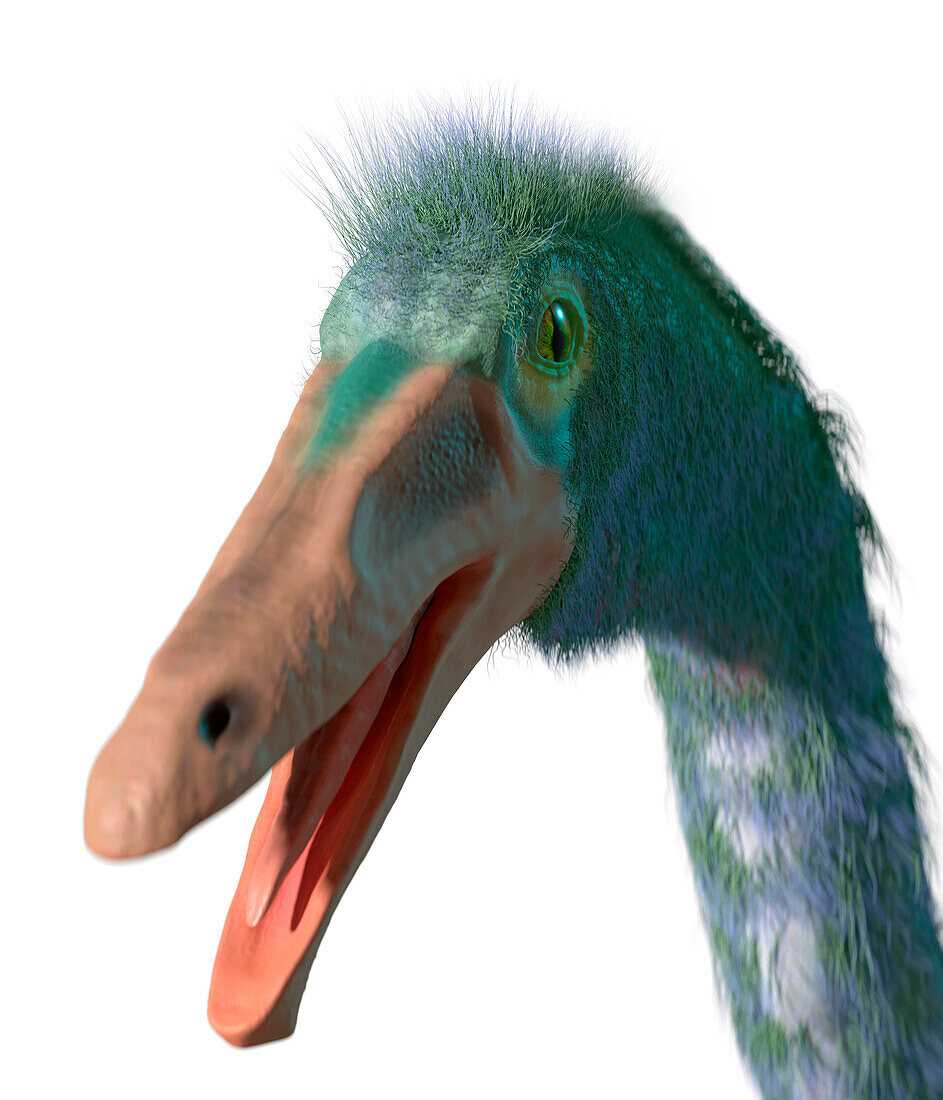 Artwork of dinosaur Gallimimus