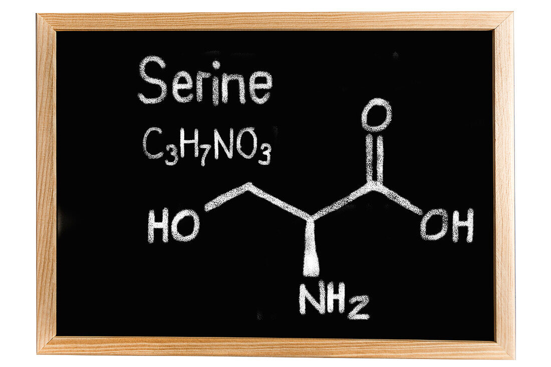 Chemical composition of serine, conceptual image