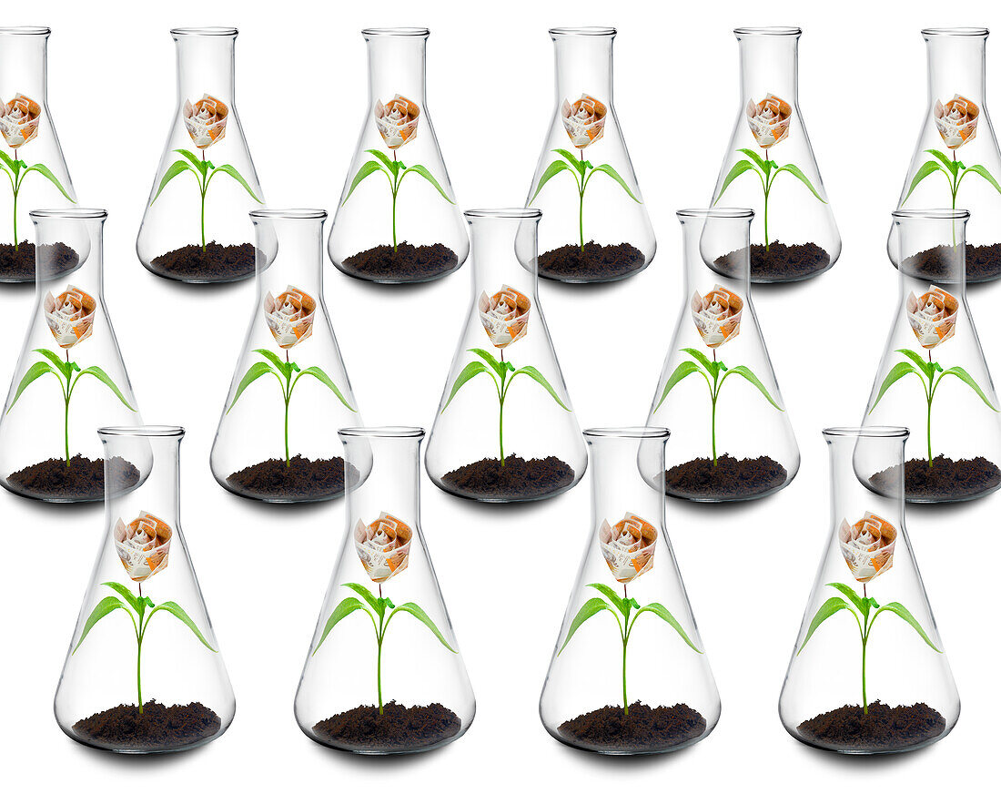 Cost of botanical research, conceptual image
