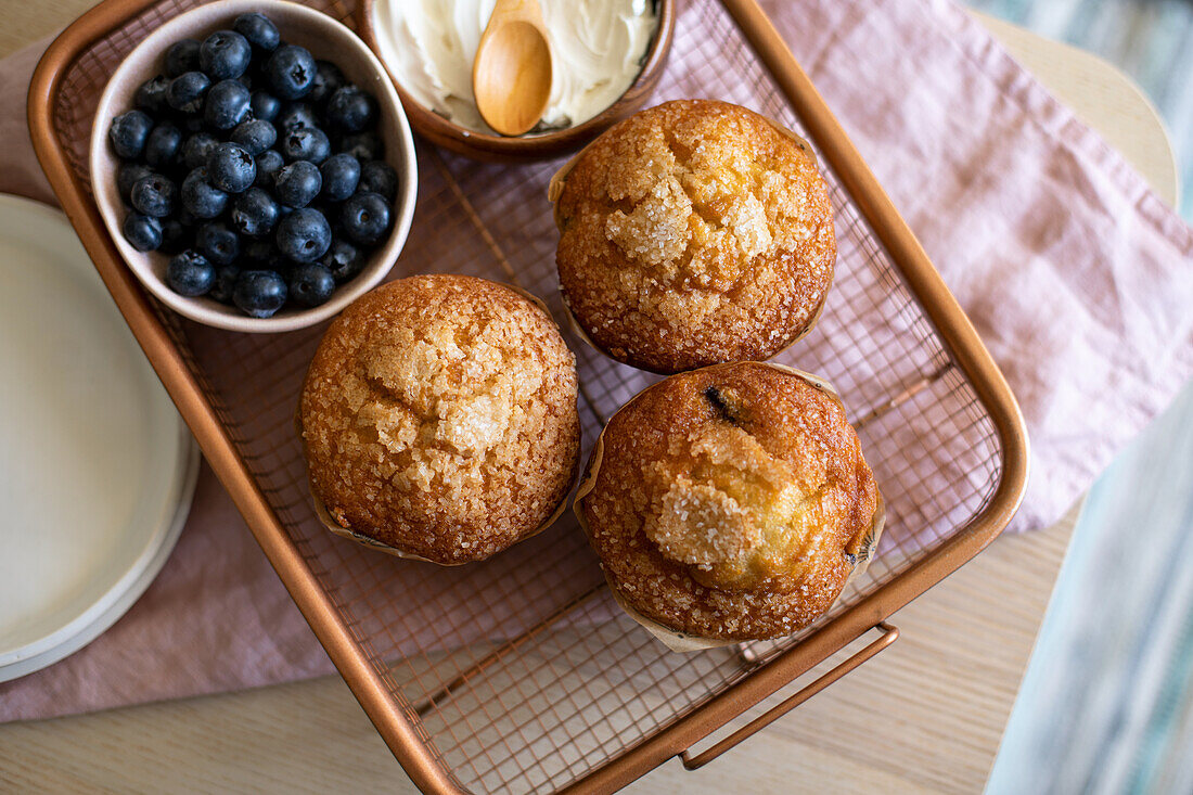 Blueberry muffins with blueberries and cream cheese