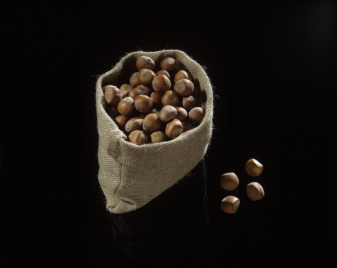 Sack of hazelnuts & four nuts beside it on black background