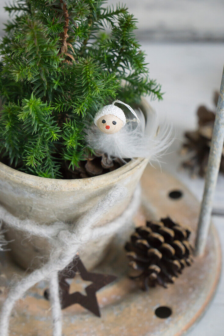 Mini conifer tree with winter decorations