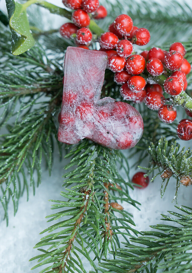Frozen Santa's boot, with holly berries