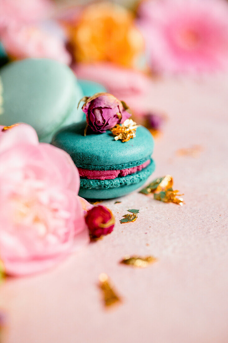 Blaue Macarons