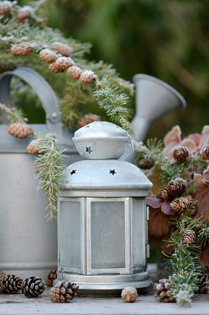 Lantern covered with hoarfrost