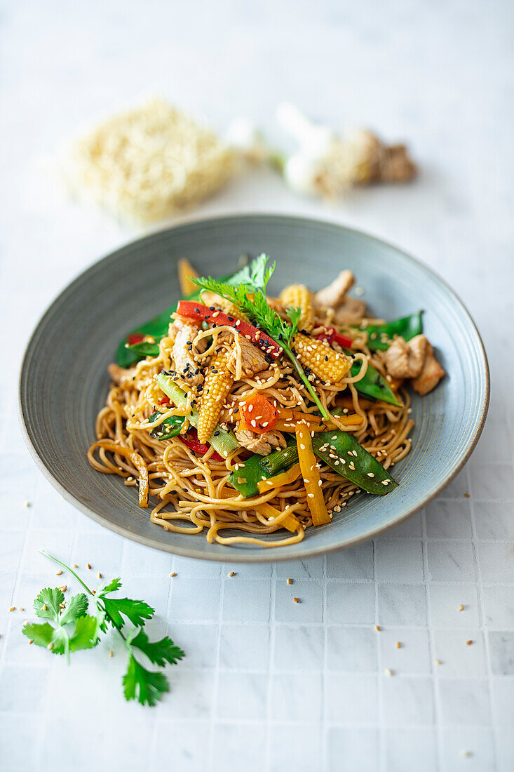 Noodles from the wok with vegetables and turkey strips