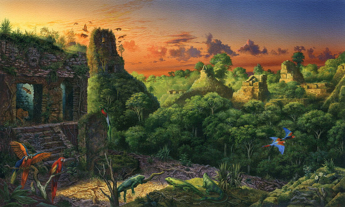 Ruins of Tikal, illustration