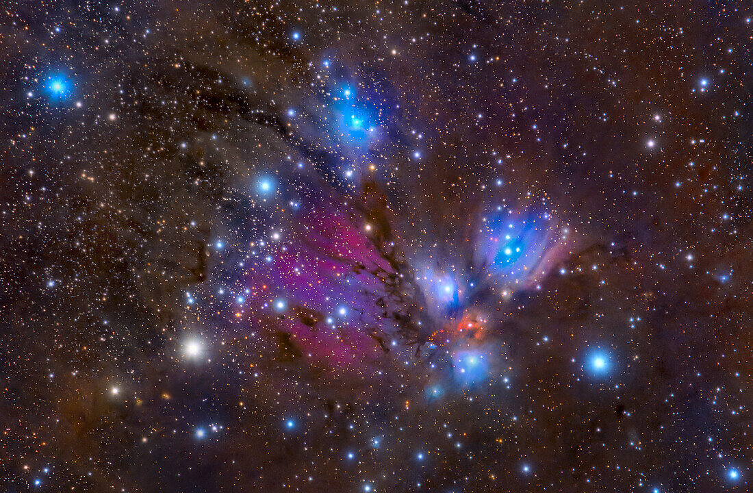 Angel Nebula