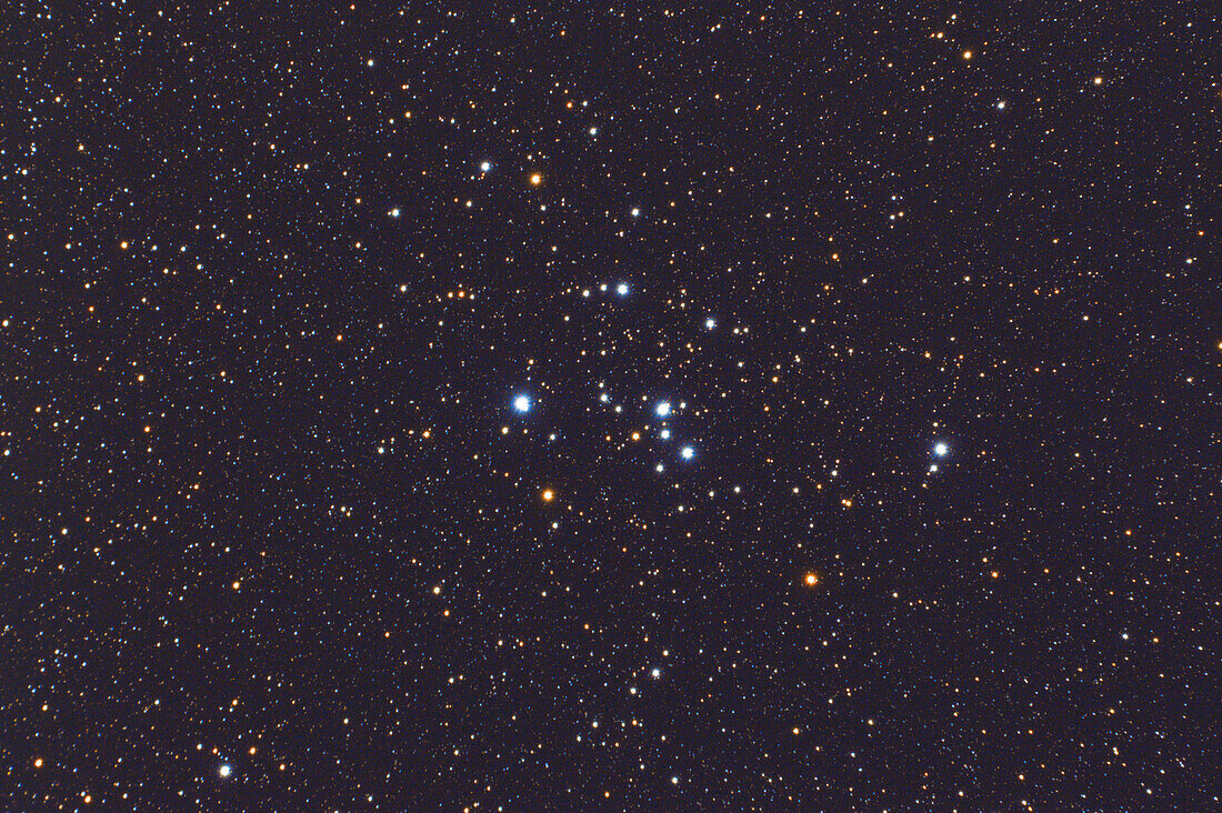 M47 NGC 2422, open star cluster