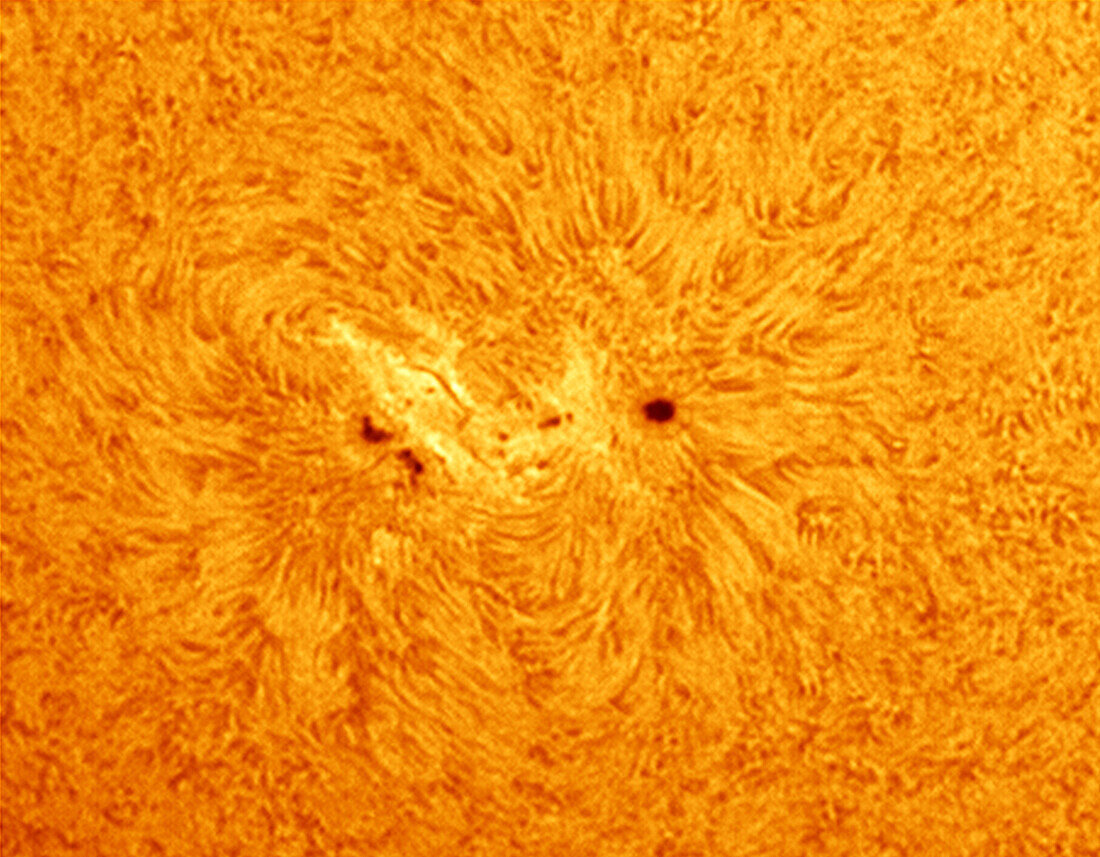 Sunspot group AR2781