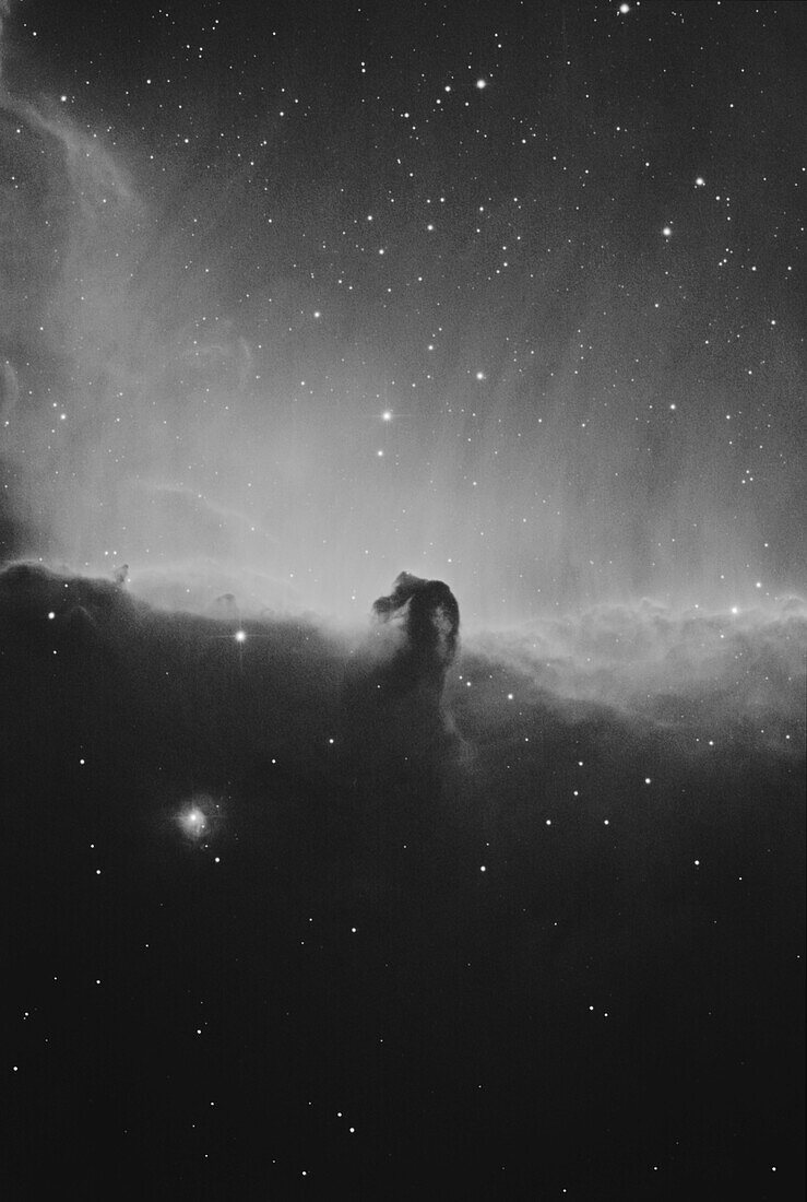 Horsehead nebula complex