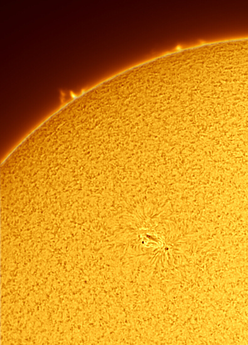 Sunspots and active region AR2827