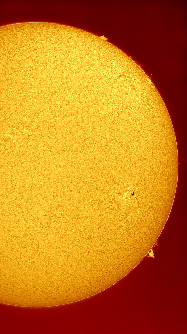 Sun with active region