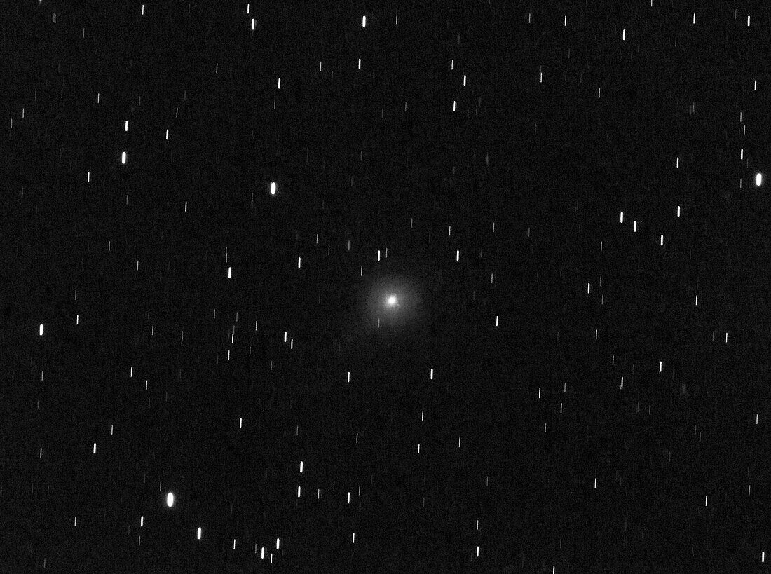 Comet C/2020 T2 Palomar