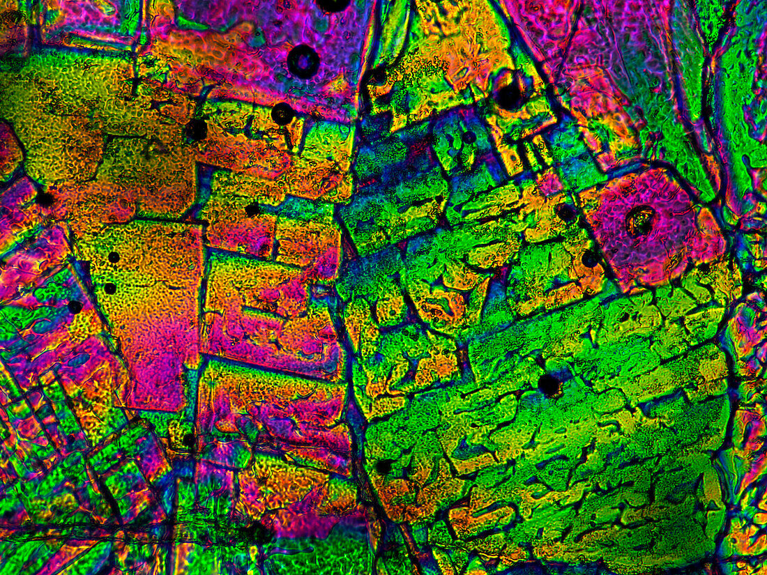 Epsom salt, polarised light micrograph