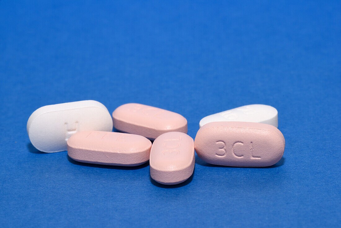 Paxlovid covid-19 tablets