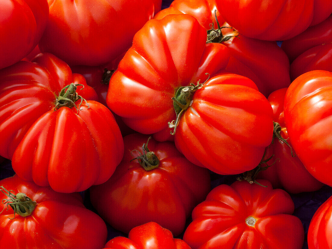 Marmande tomatoes (Solanum lycopersicum var Marmande)