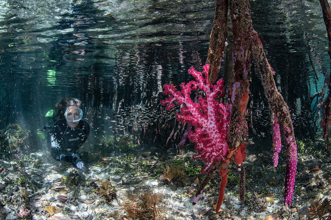 Diver next to soft coral