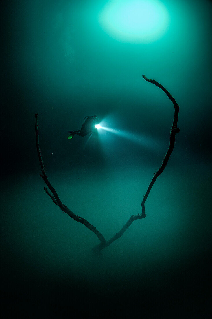 Diver in Cenote