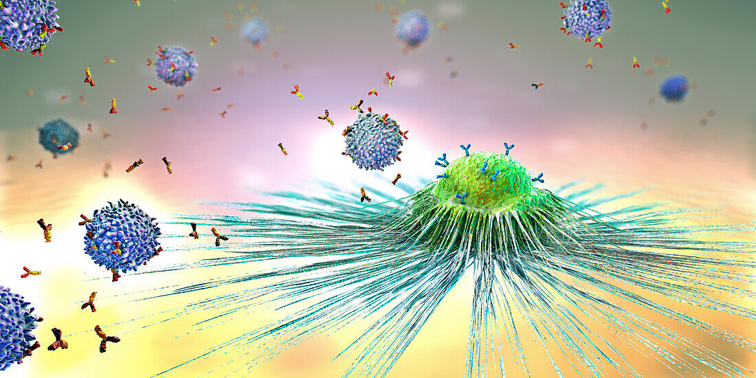 Lymphocytes attacking cancer cell, illustration