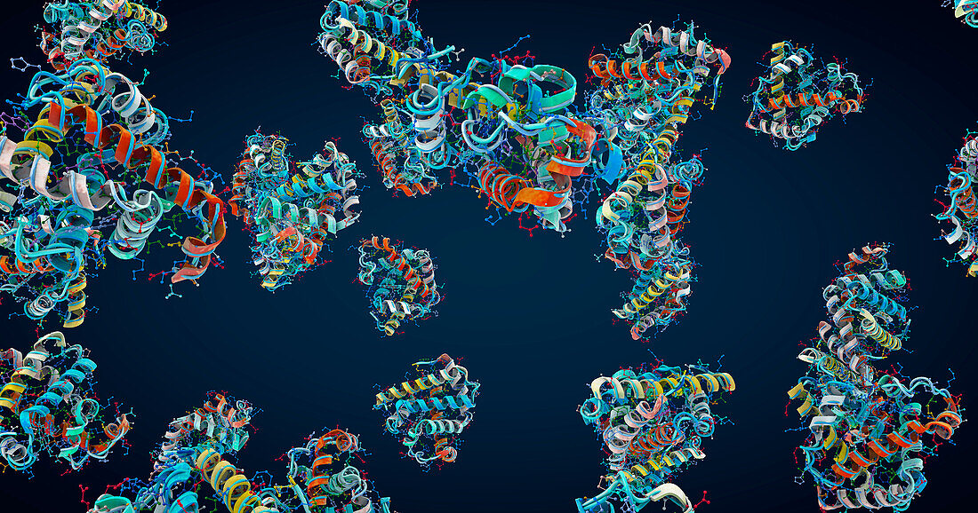 Proteins, illustration