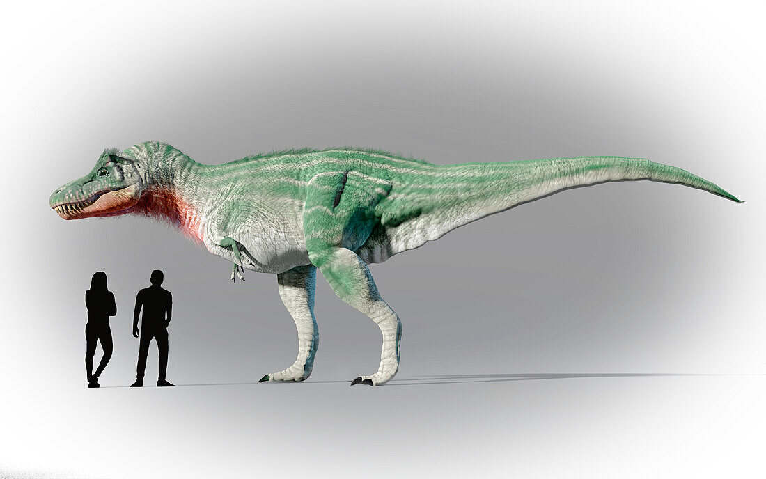 Humans Vs Tyrannosaurus